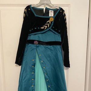 Disney Queen Anna Costume